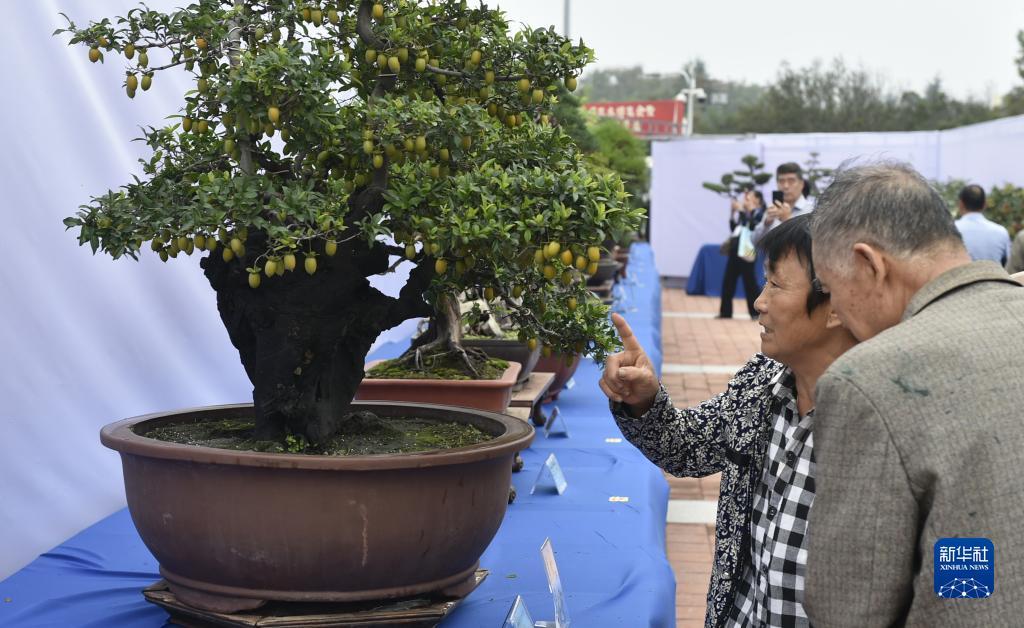 大红鹰网址检测中心